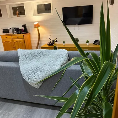 Authentique Otti Apartment Furdenheim